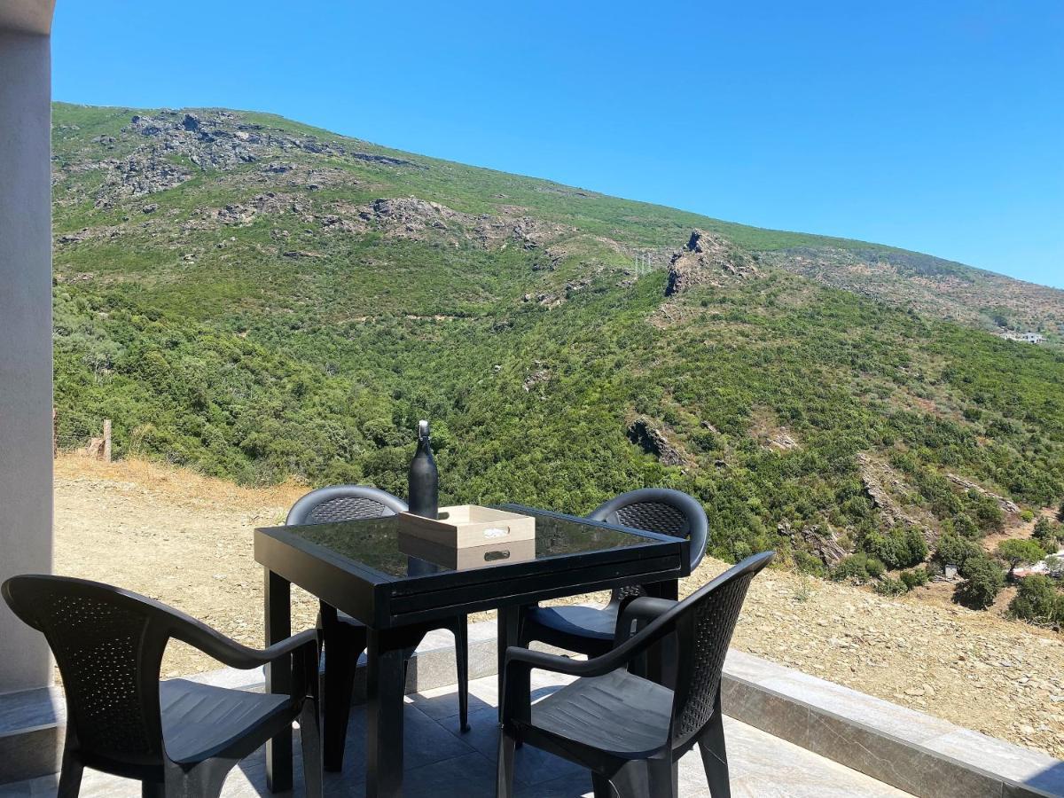 Logement de grand standing entre Mer et Montagne Santa-Maria-di-Lota Buitenkant foto